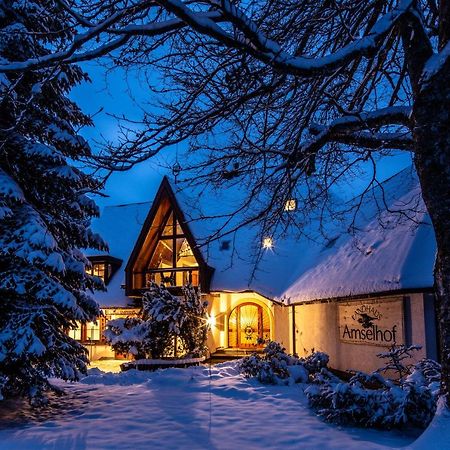 Landhaus Amselhof ヒンターツァルテン エクステリア 写真