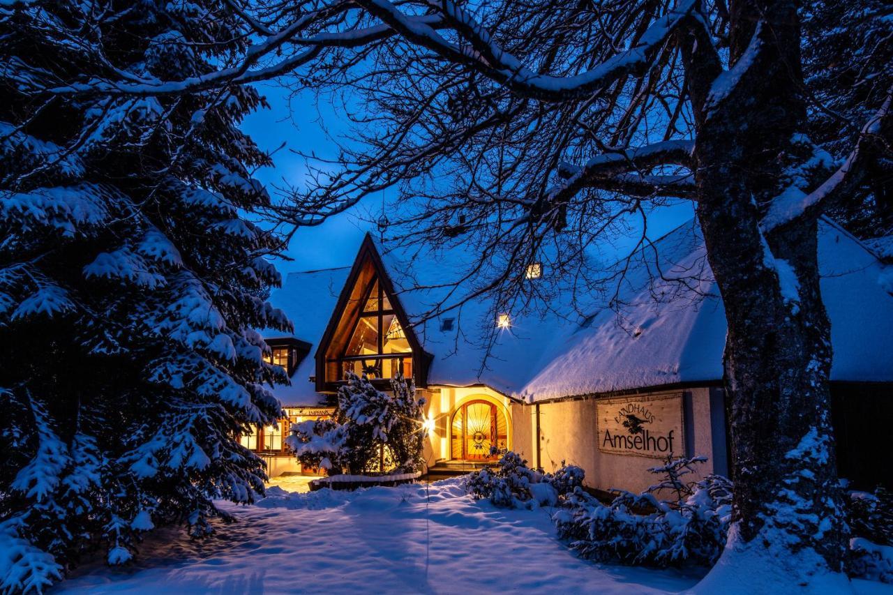Landhaus Amselhof ヒンターツァルテン エクステリア 写真